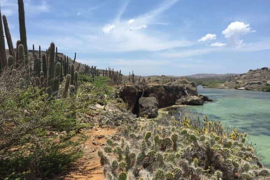 Curacao Natuur: Een Verborgen Tropisch Paradijs