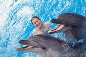 met dolfijnen zwemmen curacao